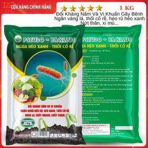 PSEUDO BACILLUS  Chế Phẩm Trừ  Bệnh Héo Xanh Thối Rễ Vàng Lá Thối Nhũn  - Gói 1kg Bột HoàTan