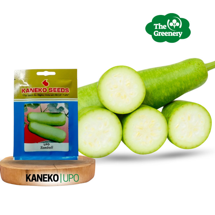 Upo, Bottle Gourd By Kaneko Seed | Variety Tambuli | Buto ng Upo ...