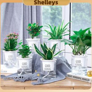 [Shelleys] Transparent Flower Pot Self-Watering Plant Flower Pot Home Garden Decoration