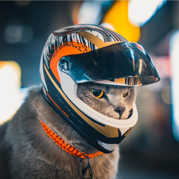 DIY Pet HelmetsCat HelmetDog Helmet-Outdoor Mini Head Protecting