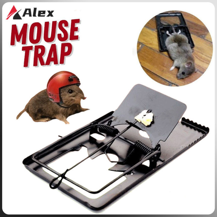 5pcs Mouse Rat Traps High Sensitive Snap Metal Mice Trap Mousetrap ...