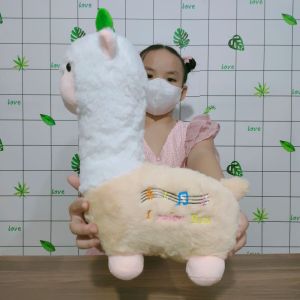 GẤU BÔNG LẠC ĐÀ ALPACA CẦU VỒNG MÈO BÔNG AMUSE JENNIFER 2 NGÀY 1 ĐÊM DỄ THƯƠNG MẪU MỚI
