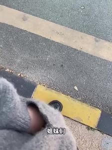 【小孩爱不释手】变色烤鸭挂件车挂批发3D打印解压小红书同款太阳紫外线照射变红[kids cant put it down] color changing Roast Duck Pendant car hanging wholesale 3D printing unzipped little red book the same model turns red under the suns ultraviolet radiation