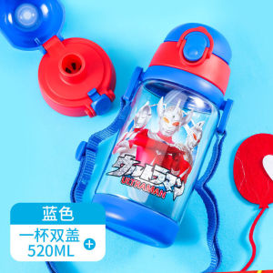 FCFrozen Kids Water Bottle 2in1 Straw+Direct Drink Interchangeable BPA-free 520ml