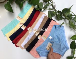 SET 10 QUẦN LÓT NỮ COTTON LỤA TRƠN CAO CẤP MỀM MỊN MÁT MR10 35kg-65kg