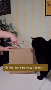 [Mua 1 Tặng 1] Thức Ăn Hạt Mèo CHARM Canada - Vị Cá đại dương - 1.5kg và 4.5kg - Dành cho mèo trưởng thành