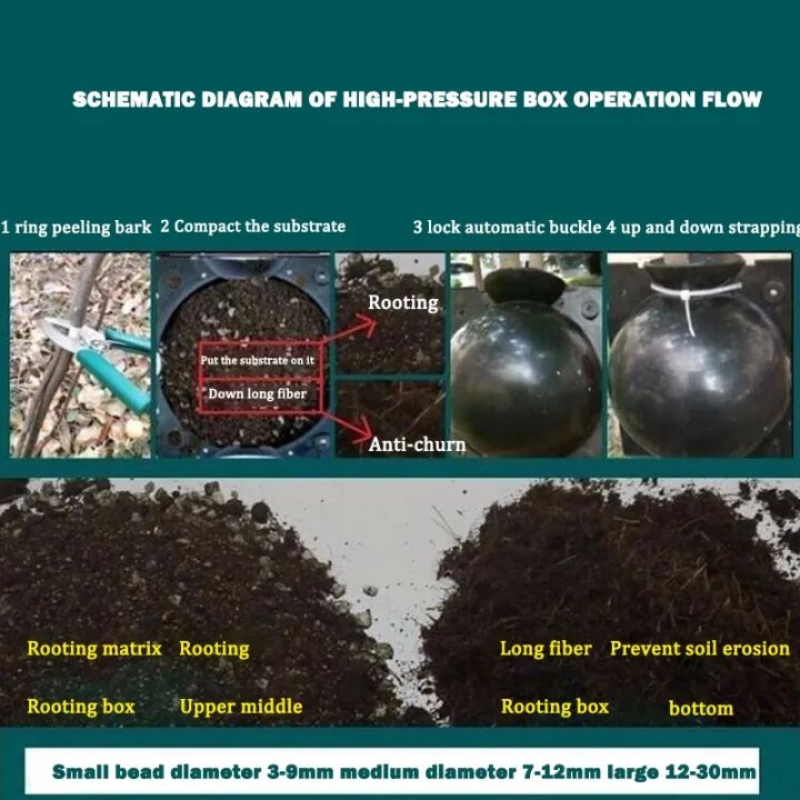 Plant%20Rooting%20Equipment%205cm/8cm/12cm%20Plant%20Rooting%20Device%20Rooting%20Growing%20Box%20Breeding%20Case%20Plant%20Rooting%20Device%20for%20Trees%20Fruit%20Plant%20Garden%20-%20Image%204