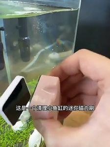 High Quality Mini Clover Aquarium Magnetic Brush Strong Magnet Attach Algae Remover Clean Fish Tank