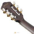 Ibanez TOD10N Tim Henson Signature กีตาร์คลาสสิค. 