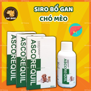 Ascorequil - Siro uống hỗ trợ chức gan và thải độc gan cho chó mèo. Bổ gan cho chó mèo.