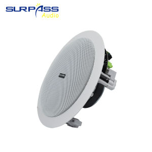6.5 Inch Ceiling Mounted Speaker Built-in Coaxial Bluetooth Speaker High Power Class D Stereo Amplifier 30W Speaker One Piece Advertising Audio System