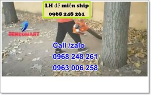 Máy thổi lá cầm tay Booyoung EB260 dòng 2 Thì siêu bền