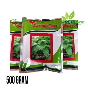Benih Bayam Benua 500 Gram Asli 100% Original Kemasan Pabrik