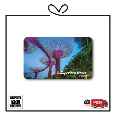 Singapore Souvenir Fridge Magnet 9cm x 5.5cm
