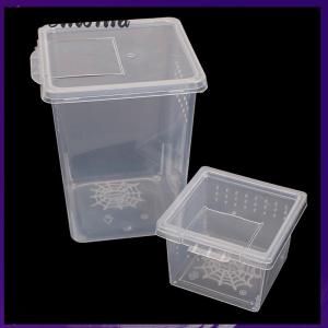 【Greenwind】 Plastic Insect Spider Habitat Feeding Box Case Container Tank Transport Case Toy