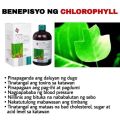 Chlorophyll Plus Guarana. 