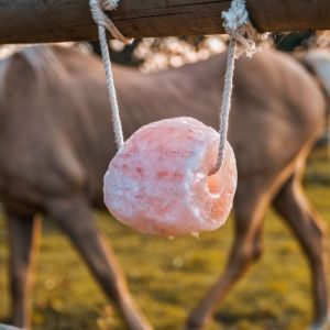 Himalayan Licking Salt 1-2kg\2-3kg Mineral Block Booster for Livestock Cattle Sheep Goat Horse Pig