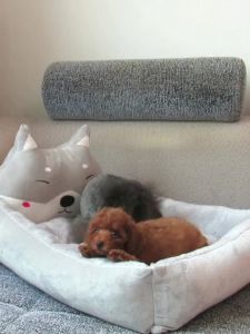 Manufacturers in-stock trendy cartoon dog bed suitable for all seasons large dog mat dog bed cat bed pet supplies wholesale