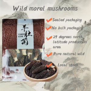 【 Premium Morel Ready stock】 Dry Wild Morel Specialty Hotpot mushroom dried mushroom mushroom soup羊肚菌 菌菇 蘑菇 煲汤 菌菇湯包 羊肚菇 羊菇菌 香菇 Wild Morel Specialty