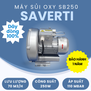MÁY SỦI KHÍ SAVERTI 250W/ 370W/ 550W/ 750W/ 1100W