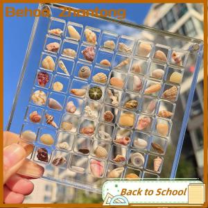 Behoo Acrylic Magnetic Seashell Display Box Seashell Clear Starfish Trinket Organizers 36 64 100 Grids Mini Seashell Storage Box