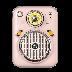 Divoom B-Beetles radio speakers Bluetooth Wireless  portable small speakers for girls birthday presents Gift Green pink cute