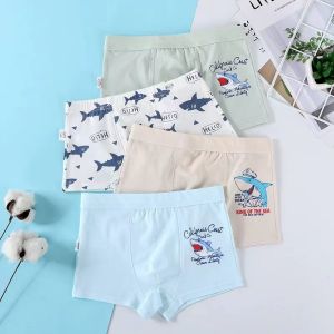 Celana Dalam Anak Laki-laki Pakaian Dalam Balita Celana Remaja Celana Pendek Celana Boxers Import