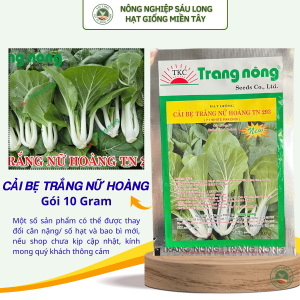 HẠT GIỐNG CẢI BẸ TRẮNG TN293 10G