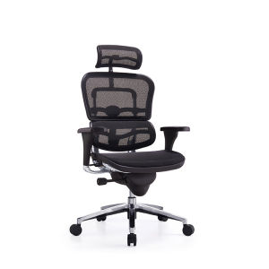 High-end Office Chair with Adjustable Headrest Adjustable Backrest Flexible Lumbar Support 3D Armrest Sliding Cushio