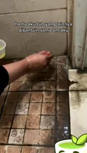 500 mili Pembersih Keramik Lantai Karat Besi Pembersih Berkualitas Tinggi