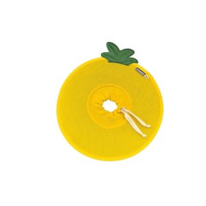 DGFDF Anti-licking Fruit Shape Kitty Recovery Collar Soft Anti-biting Dog Protective Neck Cone Pineapple Creative Cat Elizabethan Collar Stop Licking
