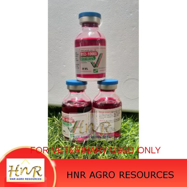 Vitamin B12 10000mg 20ml Pet All Life Stage Supplement - Lazada
