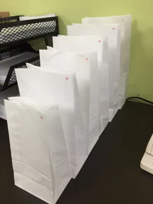 100PCS White Bleached Kraft Paper Bags White Supot White bag