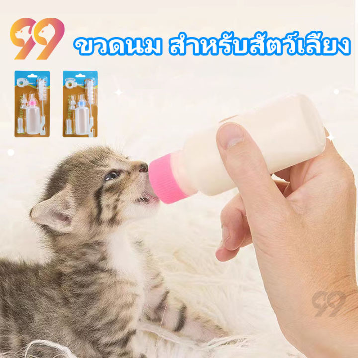10 อันดับ ขวดนม จุกนม และนมทดแทนสำหรับลูกแมว/ลูกสุนัข ที่ดีที่สุดในปี 2025