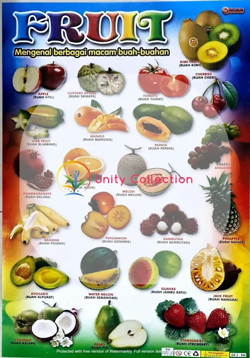 Paket%206%20Poster%20Edukasi%20Anak%20Lengkap%20Belajar%20Buah%20Huruf%20Abjad%20ABC%20Angka%20Sayuran%20Hewan%20Kendaraan%20-%20Image%204