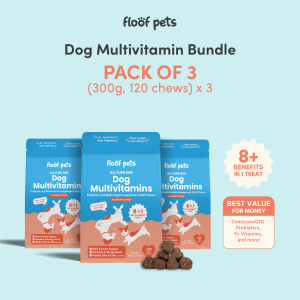 Floof Pets 8 in 1 Dog Multivitamin Supplements Bundle of 3 (300g) Dog probiotics Dog Vitamins for Immune System Dog Health Supplements Appetite Booster for Dogs and more: Dog Food for Enhanced Dog Care & Immunity Support Coatshine Antioxidants