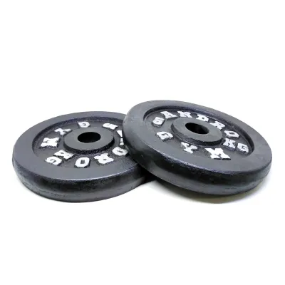 Sepasang Plat Barbel Dumbell Besi 5kg/Plate Barbel Dumbel Besi 5kg 2pcs Bisa COD
