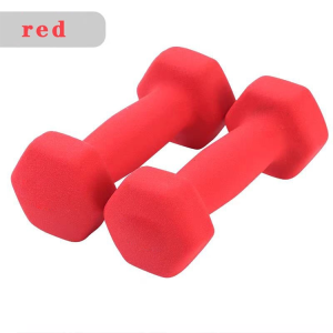 Women & Kids Non-Slip Matte Round Coating Home Workout & Fitness Training Pair Dumbbells