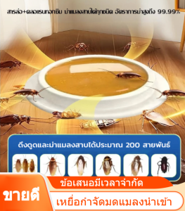 เหยื่อชีวภาพที่แข็งแรงเพื่อกำจัดแมลงสาบ แมลง และมด เหยื่อกาวสำหรับใช้ในบ้าน ใช้ภายในอาคาร ใช้ภายในครัว 蟑螂虫蚁饵剂