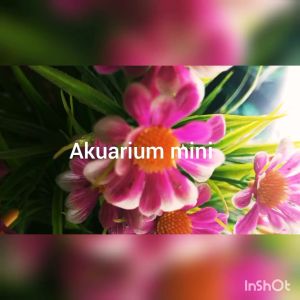 Akuarium Mini & Kabinet: Pilihan Tepat untuk Interior Hewan Peliharaan