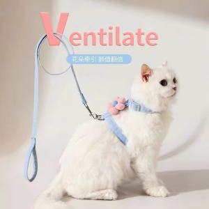 Anti-Escape Non-Choking Cat Leash 猫咪牵引绳防挣脱遛猫牵引绳猫绳子猫牵引外出可调节专用猫绳背带