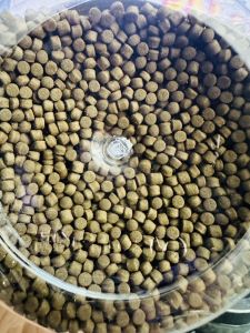 Tổng Hợp Cám Cá Cảnh JM AQUA | Thức ăn cá rồng cá sam cám chép sư tử cá chuột (Hàng Công Ty)