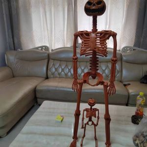 Có thể giao hàng hộ hình đầu lâu   Mô hình bộ xương người bí ngô kinh dị Halloween có khớp điều chỉnh 40 90cm Đầu lâu