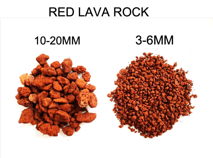 Lava Stone Red Volcanic Rock For Aquarium Filter Media 1kg/500g Lazada