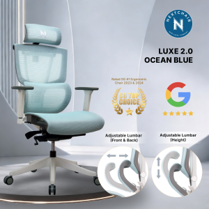 NextChair LUXE 2.0 – Premium Ergonomic Mesh Office Chair Limited edition colours