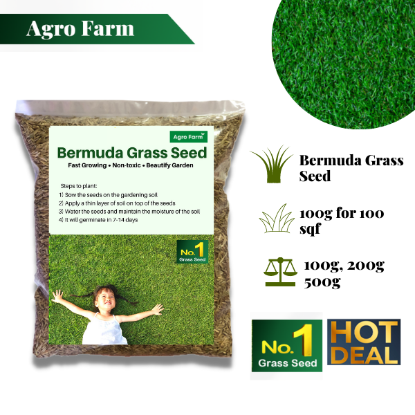 Agro Farm Premium Bermuda Grass Seed / Philippines Grass Seed / Cow