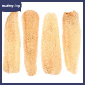 matingting 1 cái mướp tự nhiên luffa cọ rửa nhà bếp cọ rửa bát nồi Xốp chà 20-25cm