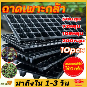 *ค่าส่งถูก*10 ชิ้น ถาดเพาะกล้า ถาดเพาะชำ ถาดเพาะต้นกล้า ถาดเพาะต้นอ่อน ถาดเพาะเมล็ด ถาดเพาะปลูกผัก 50หลุม 72หลุม 105หลุม 200หลุม เมล็ด เมล็ดพันธุ์ DIY Myself