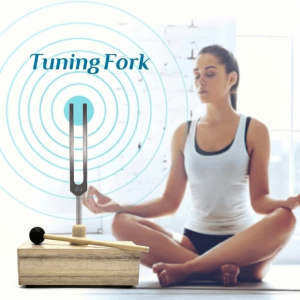 FUNG Acoustic Design Schumann Resonance Tuning Fork 432/528 HZ Frequency Sound Healing Resonance Percussion Instruments Percussion Instruments with Resonance Box Tuning Fork Resonance Teaching
