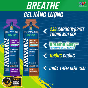 Gel năng lượng chạy bộ Applied Nutrition Endurance Isotonic Energy Gel 60g